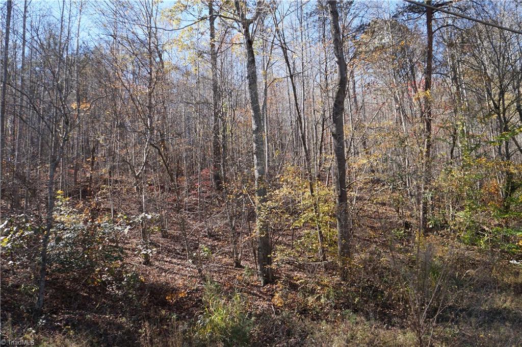 0 Massey Road Mount Airy, NC 27030 - Photo 3 of 25 Gallery Image 3