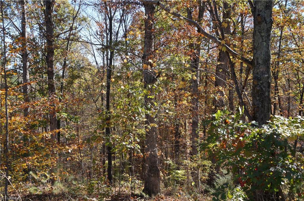 0 Massey Road Mount Airy, NC 27030 - Photo 22 of 25 Gallery Image 22