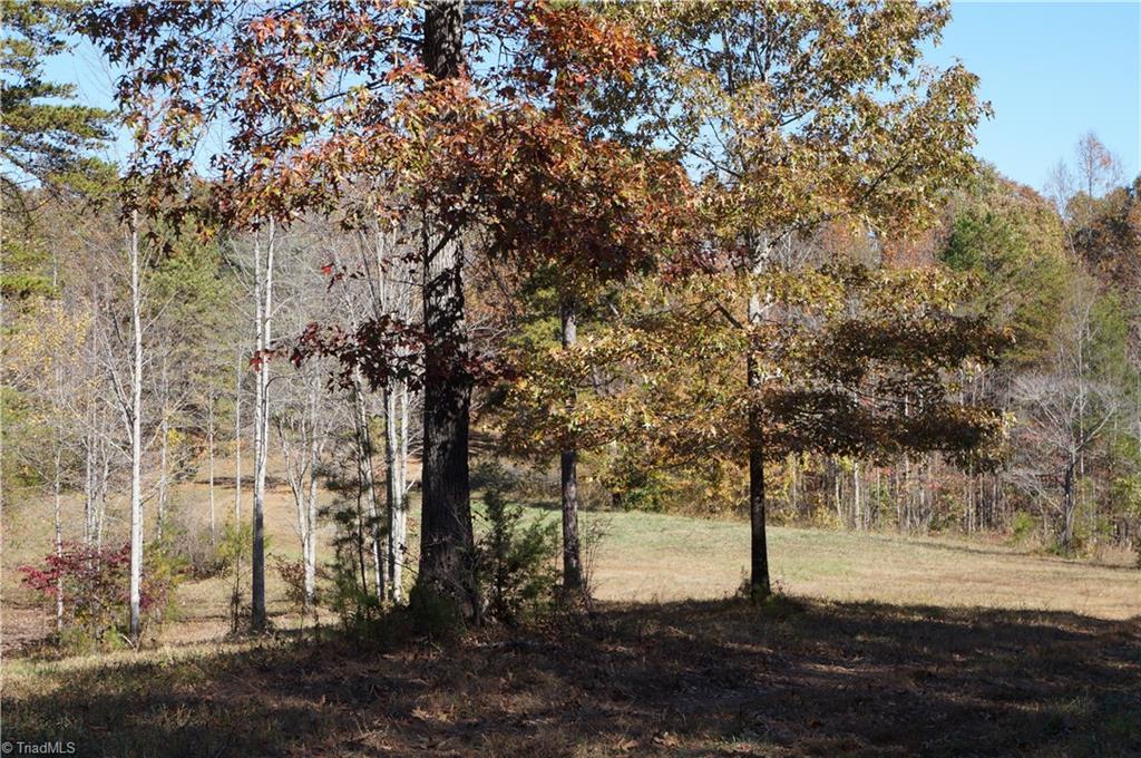 0 Massey Road Mount Airy, NC 27030 - Photo 23 of 25 Gallery Image 23