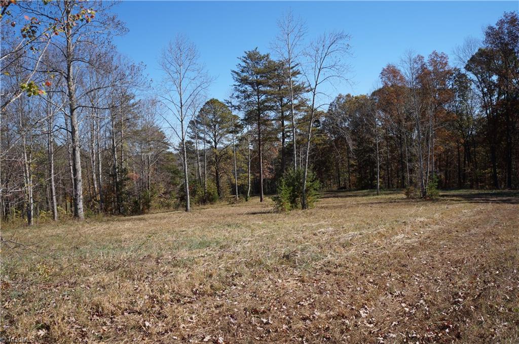 0 Massey Road Mount Airy, NC 27030 - Photo 9 of 25 Gallery Image 9