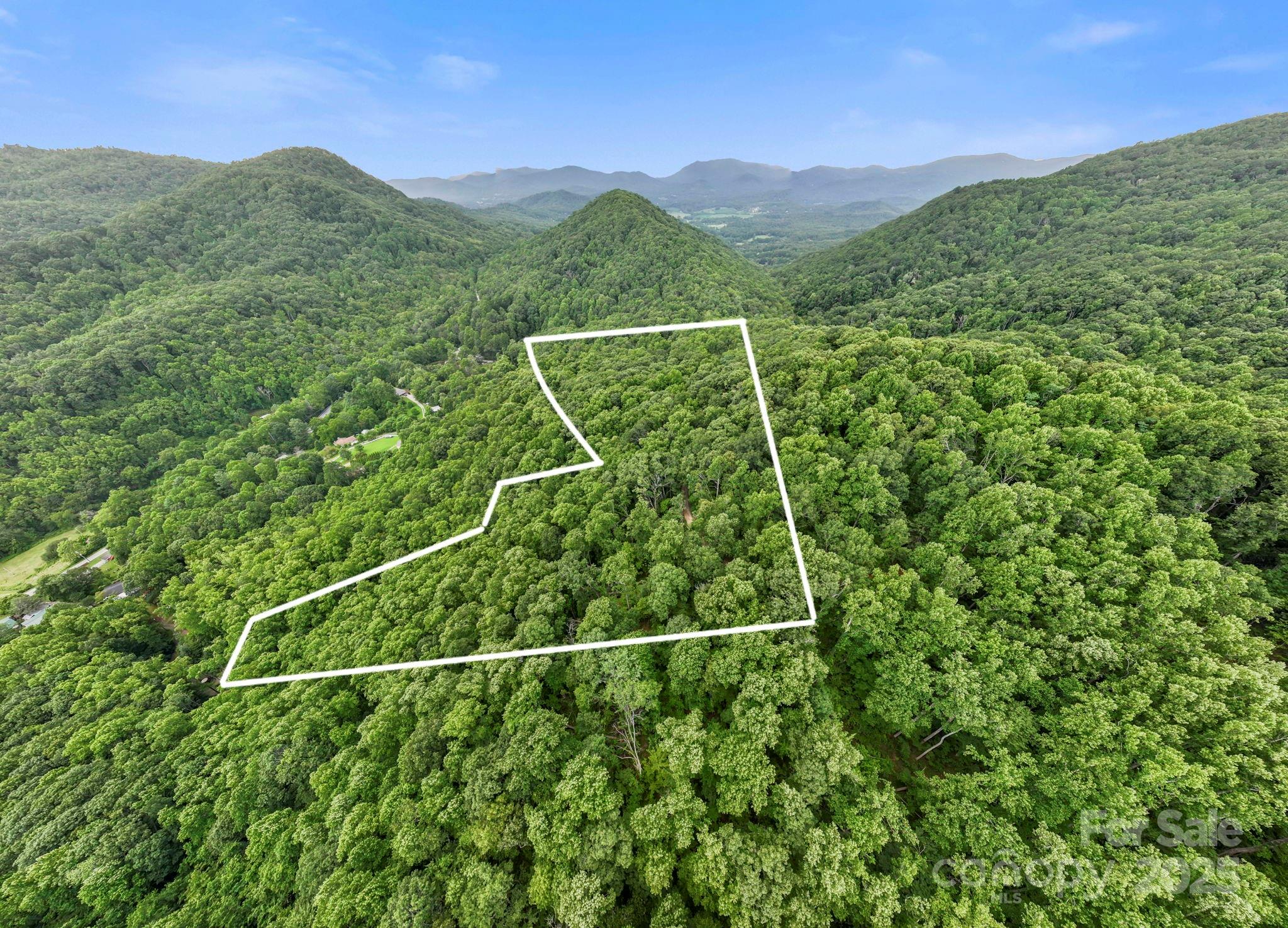 a view of a lush green field with mountains in the background