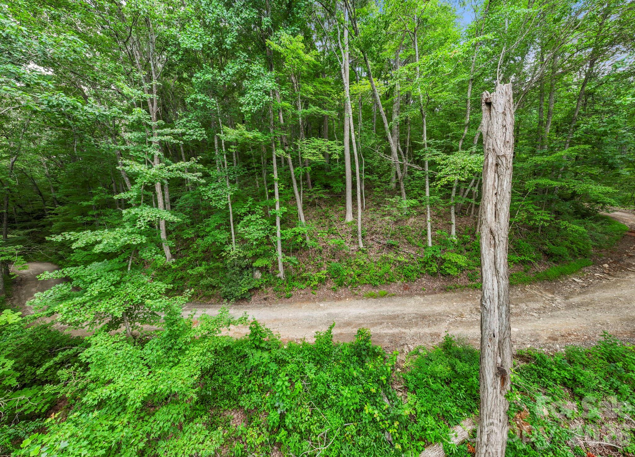 99999 Little Pisgah Road Fairview, NC 28730 - Photo 8 of 13 a view of a yard with a tree
