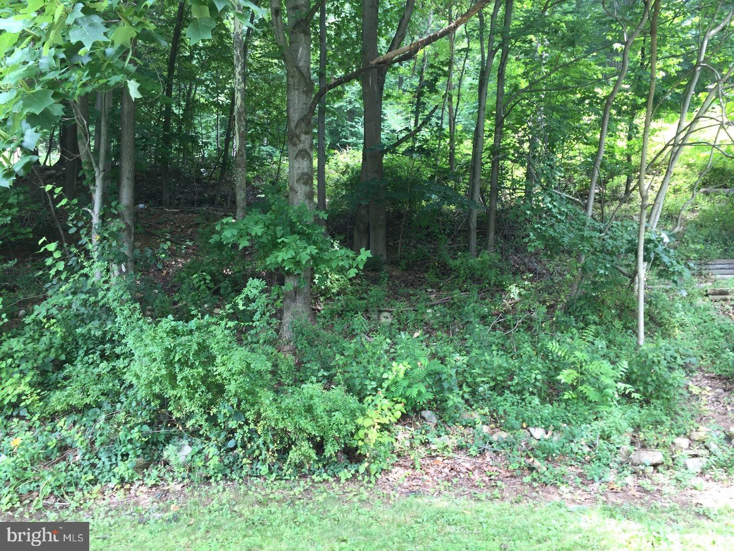 1230 Fox Run Reading, PA 19606 - Photo 16 of 17 Gallery Image 16