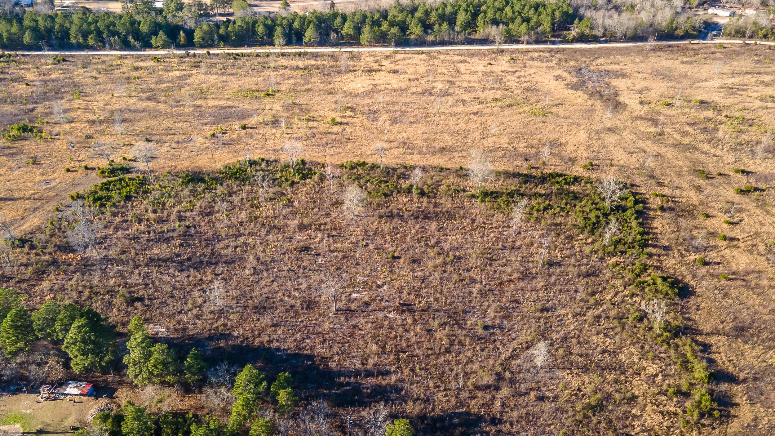 Lot 4 Old Shoals Road Monetta, SC 29105 - Photo 5 of 18
