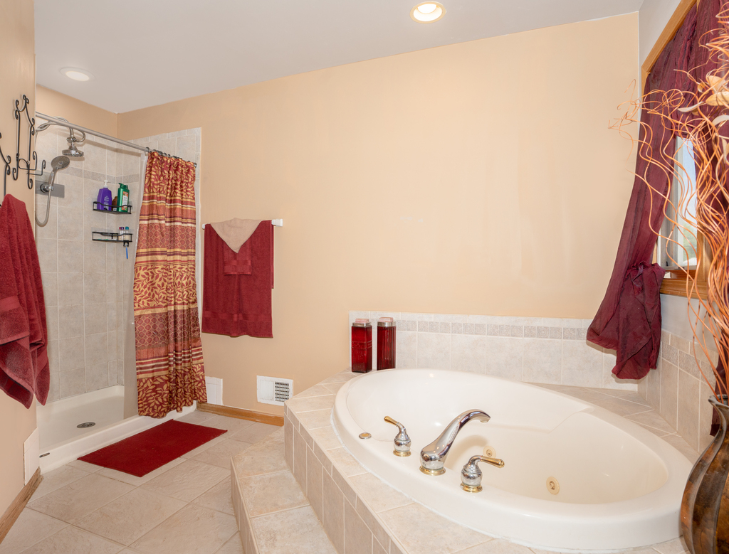 25509 South Chicago Road Elwood, IL 60421 - Photo 25 of 47 a bathroom with a bathtub and shower