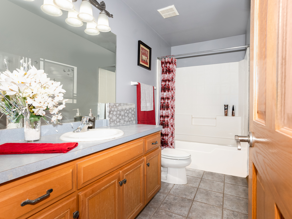 25509 South Chicago Road Elwood, IL 60421 - Photo 27 of 47 a bathroom with a sink vanity mirror and toilet
