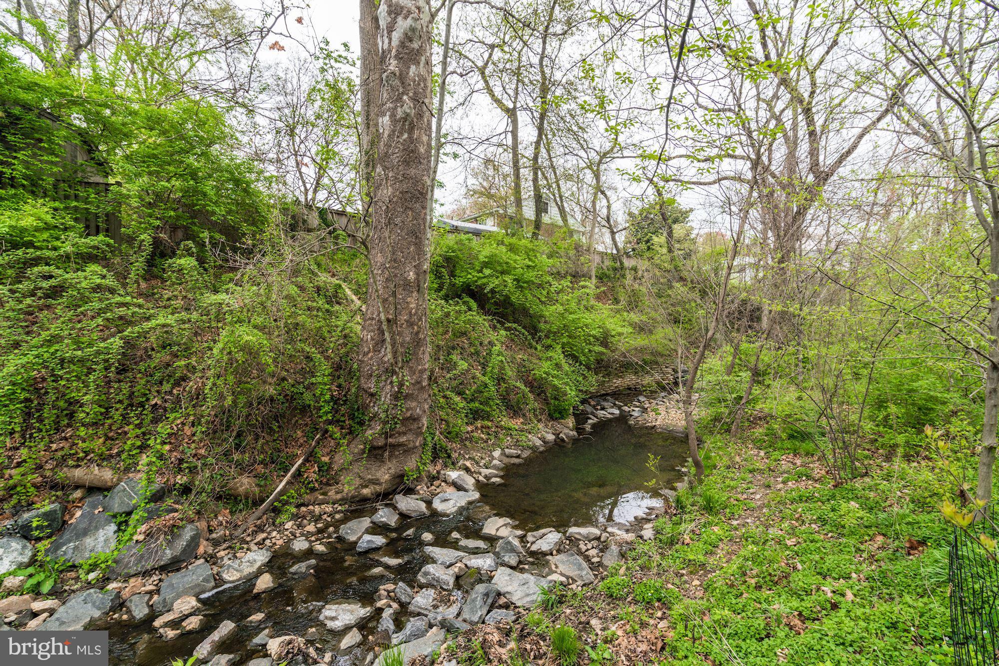 8302 Donnybrook Drive Chevy Chase, MD 20815 - Photo 47 of 55 creek in your backyard!