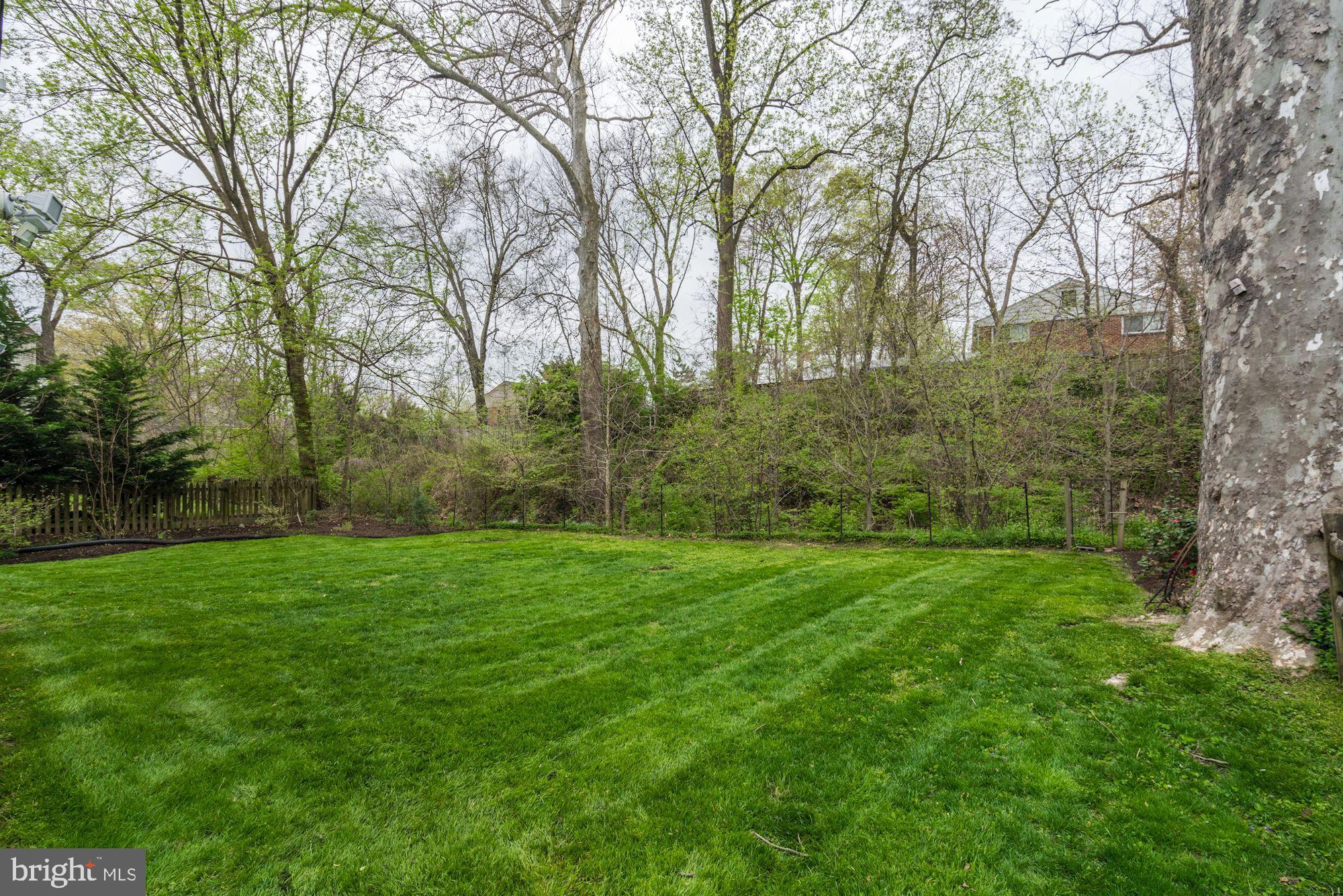 8302 Donnybrook Drive Chevy Chase, MD 20815 - Photo 48 of 55 so incredibly private