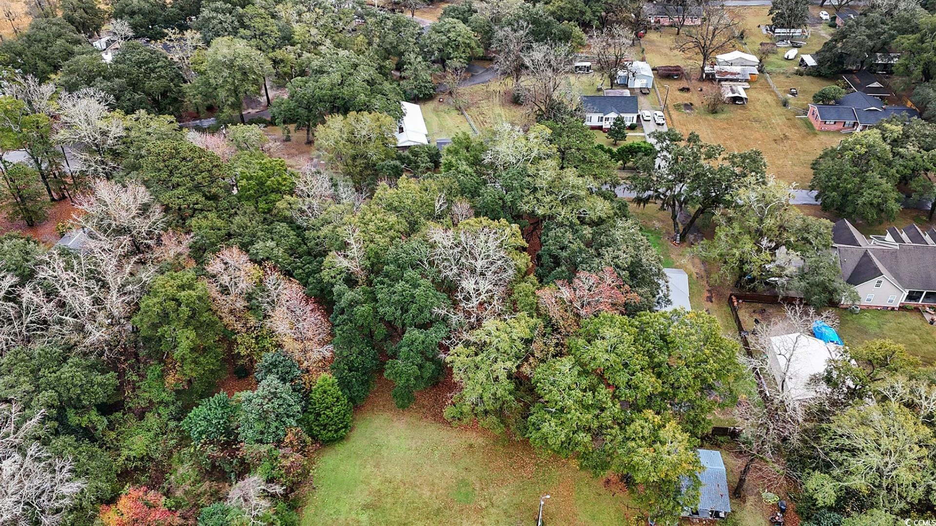 Tbd Tbd Estate Lane Georgetown, SC 29440 - Photo 11 of 17
