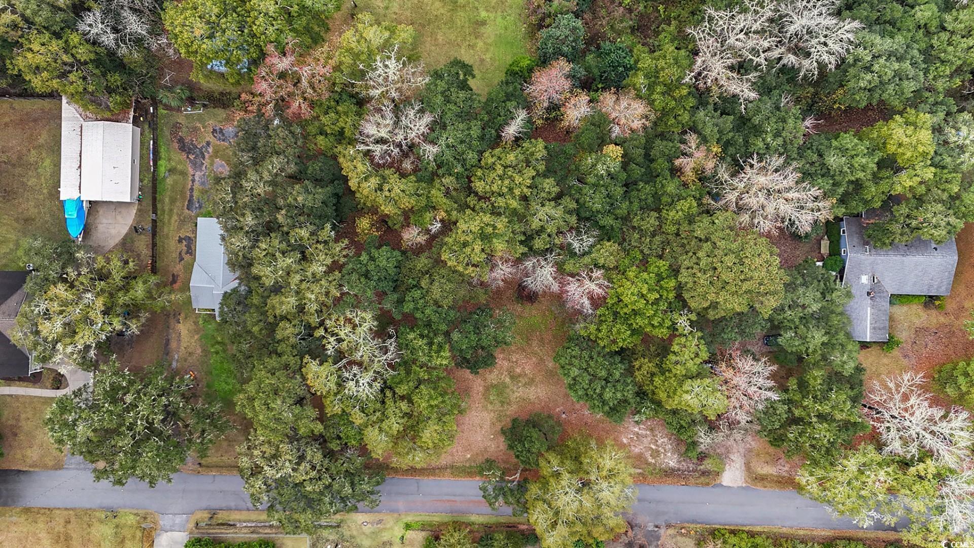 Tbd Tbd Estate Lane Georgetown, SC 29440 - Photo 13 of 17