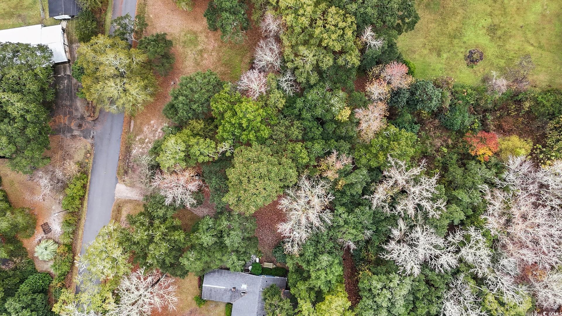 Tbd Tbd Estate Lane Georgetown, SC 29440 - Photo 14 of 17