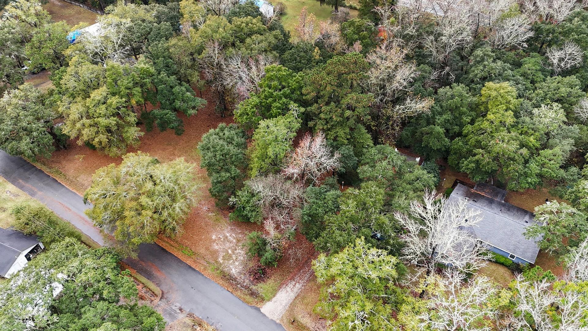 Tbd Tbd Estate Lane Georgetown, SC 29440 - Photo 16 of 17