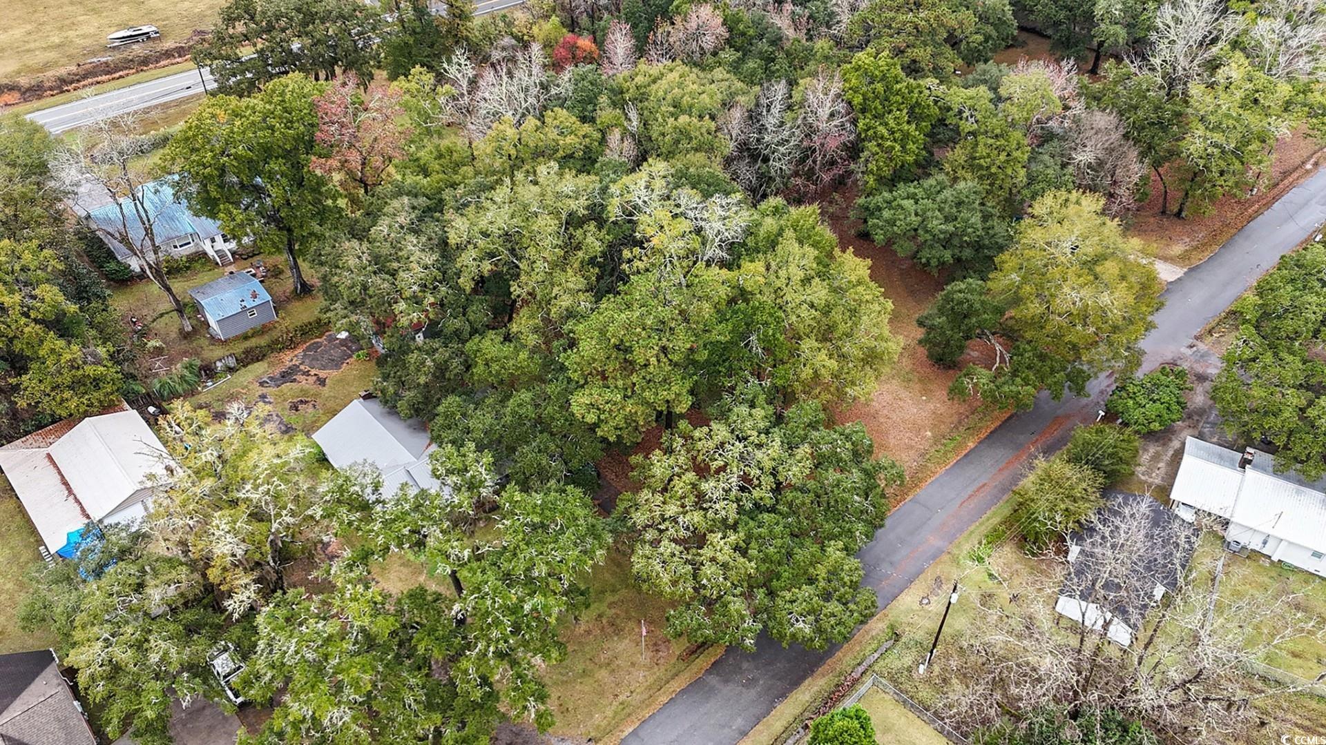 Tbd Tbd Estate Lane Georgetown, SC 29440 - Photo 17 of 17