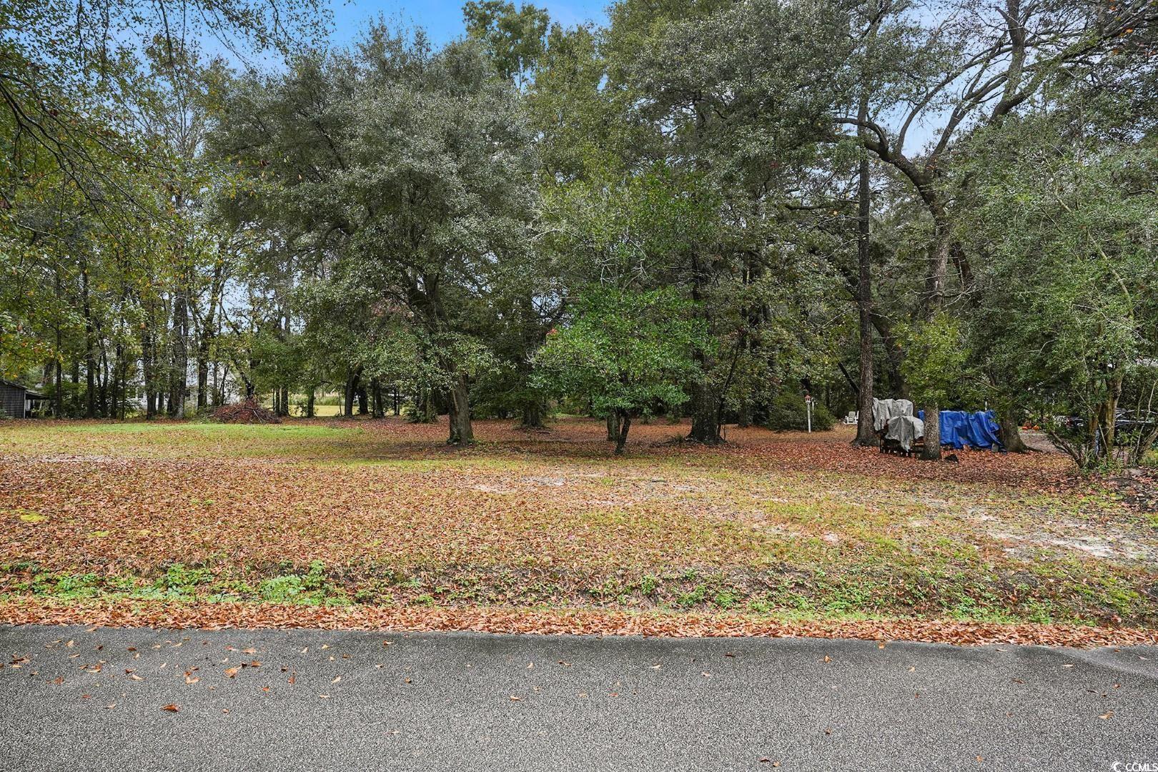 Tbd Tbd Estate Lane Georgetown, SC 29440 - Photo 2 of 17