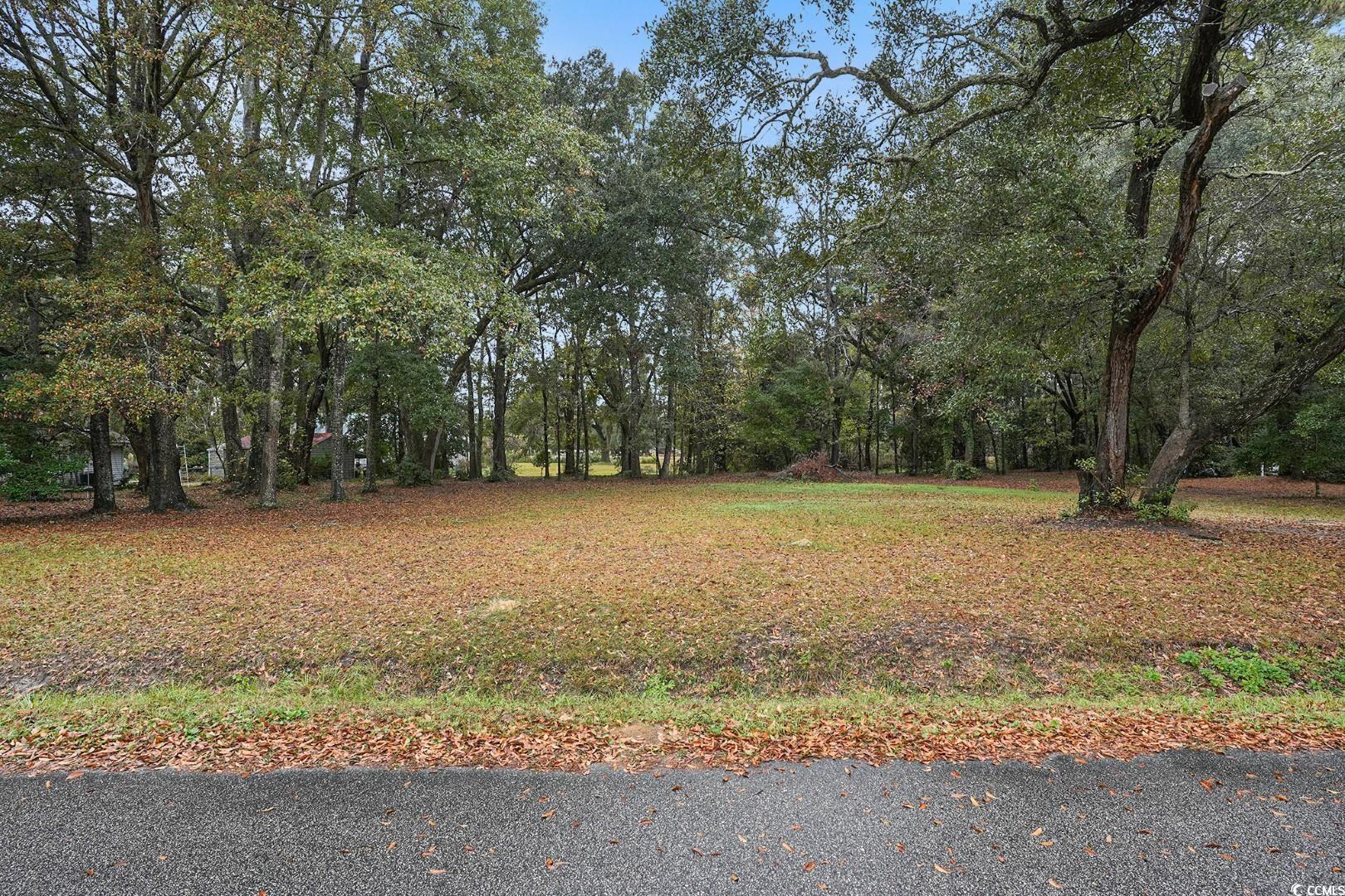 Tbd Tbd Estate Lane Georgetown, SC 29440 - Photo 3 of 17