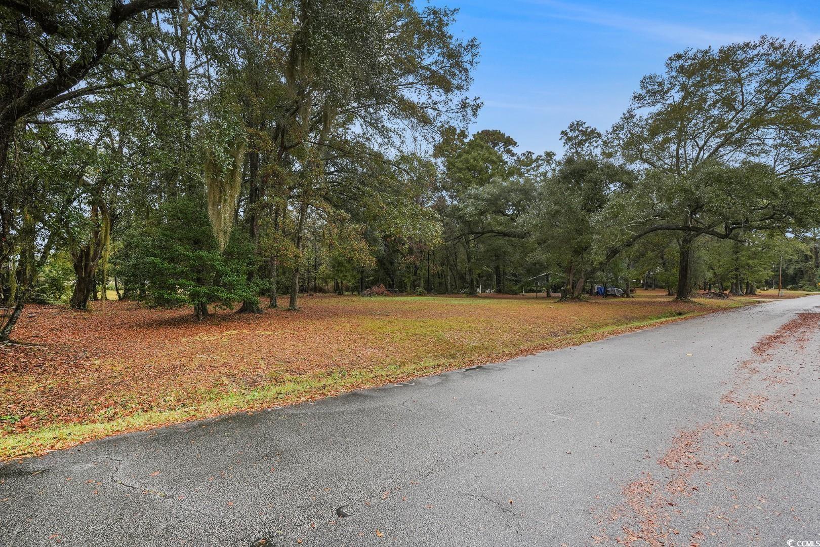 Tbd Tbd Estate Lane Georgetown, SC 29440 - Photo 4 of 17