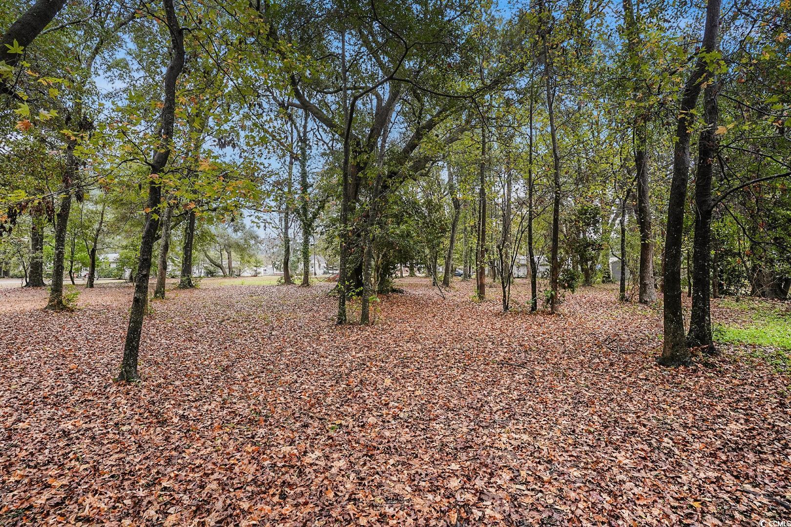 Tbd Tbd Estate Lane Georgetown, SC 29440 - Photo 5 of 17