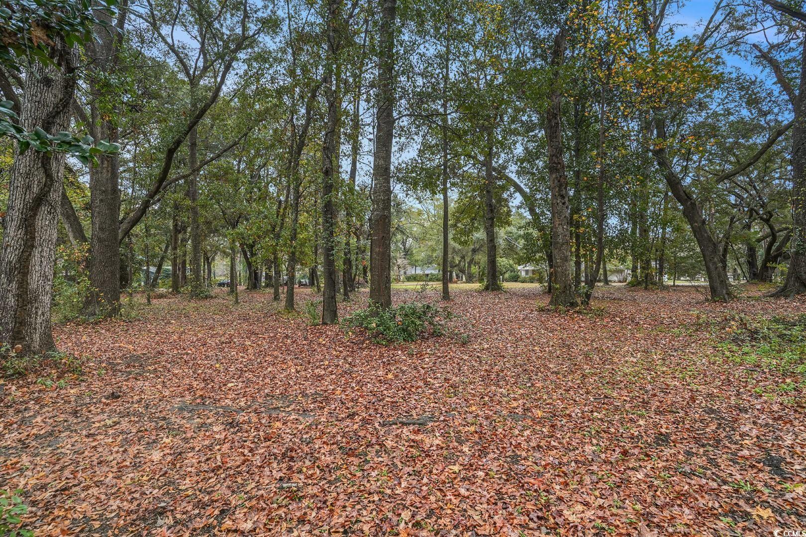 Tbd Tbd Estate Lane Georgetown, SC 29440 - Photo 6 of 17