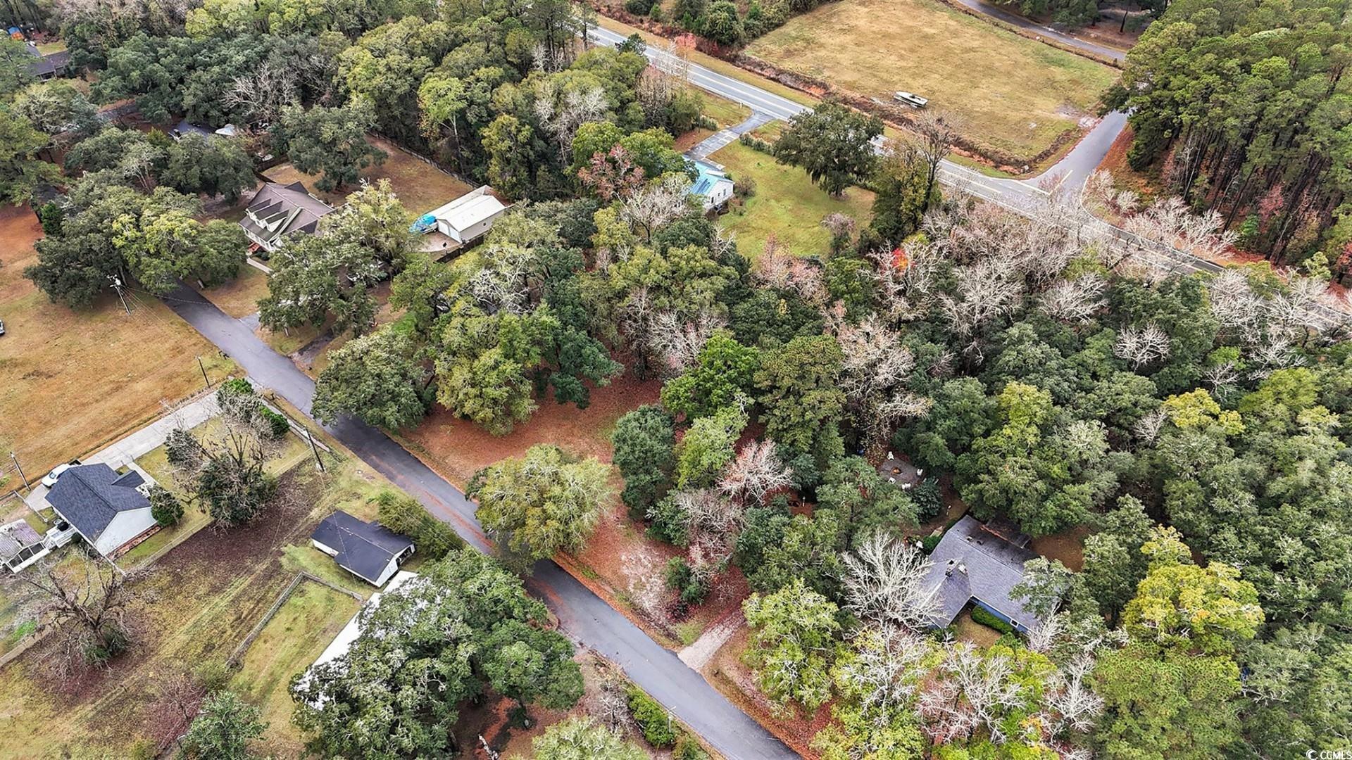 Tbd Tbd Estate Lane Georgetown, SC 29440 - Photo 7 of 17