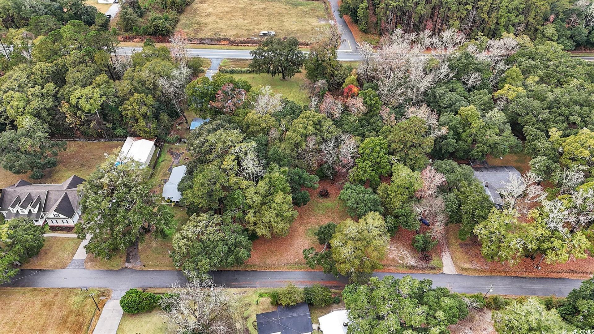 Tbd Tbd Estate Lane Georgetown, SC 29440 - Photo 8 of 17