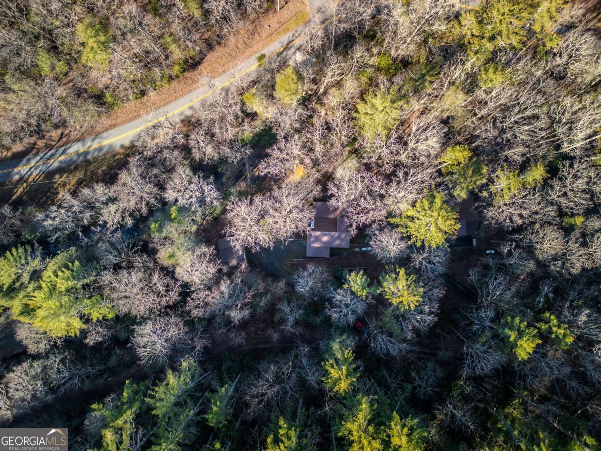 100 Stanley Creek Road Cherry Log, GA 30522 - Photo 44 of 46