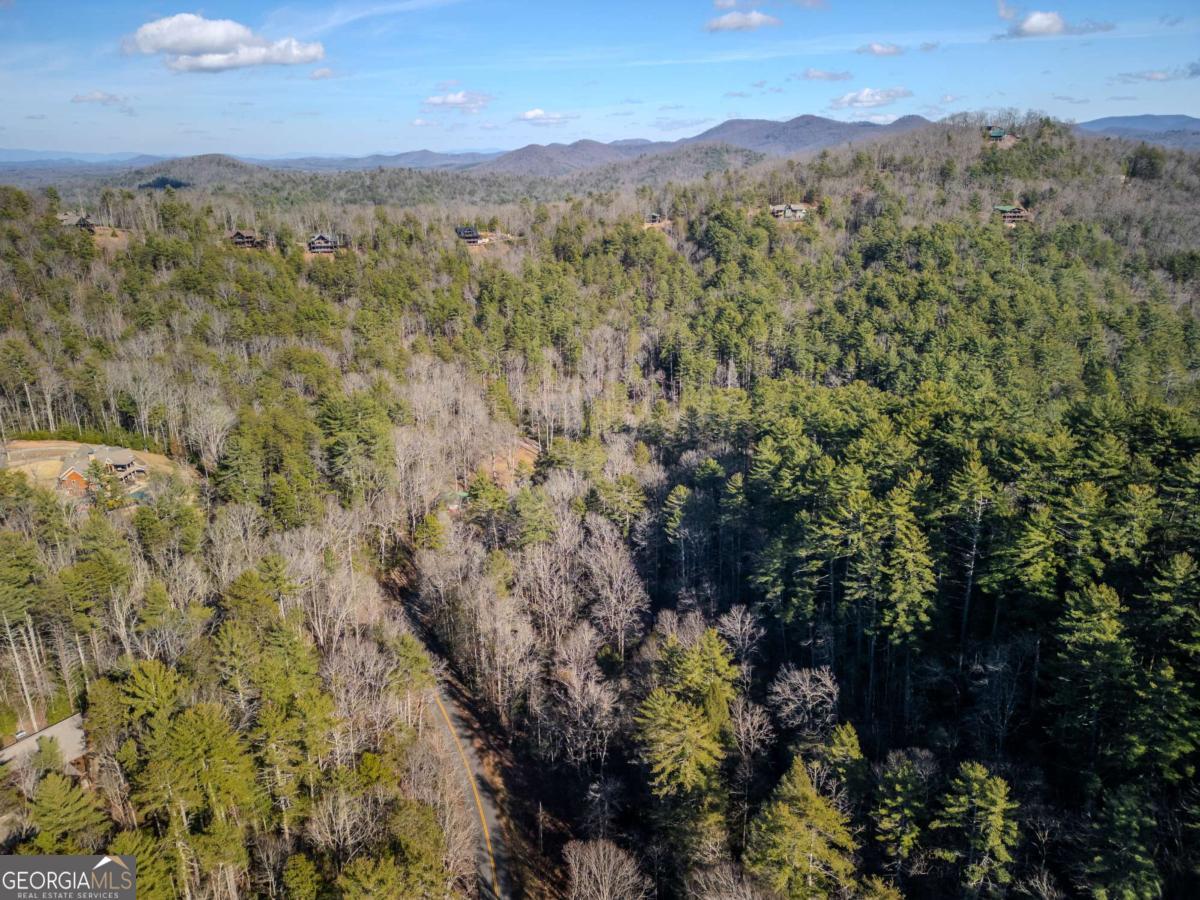 100 Stanley Creek Road Cherry Log, GA 30522 - Photo 45 of 46