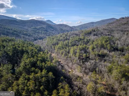 $795,000 | 100 Stanley Creek Road, Cherry Log, GA 30522