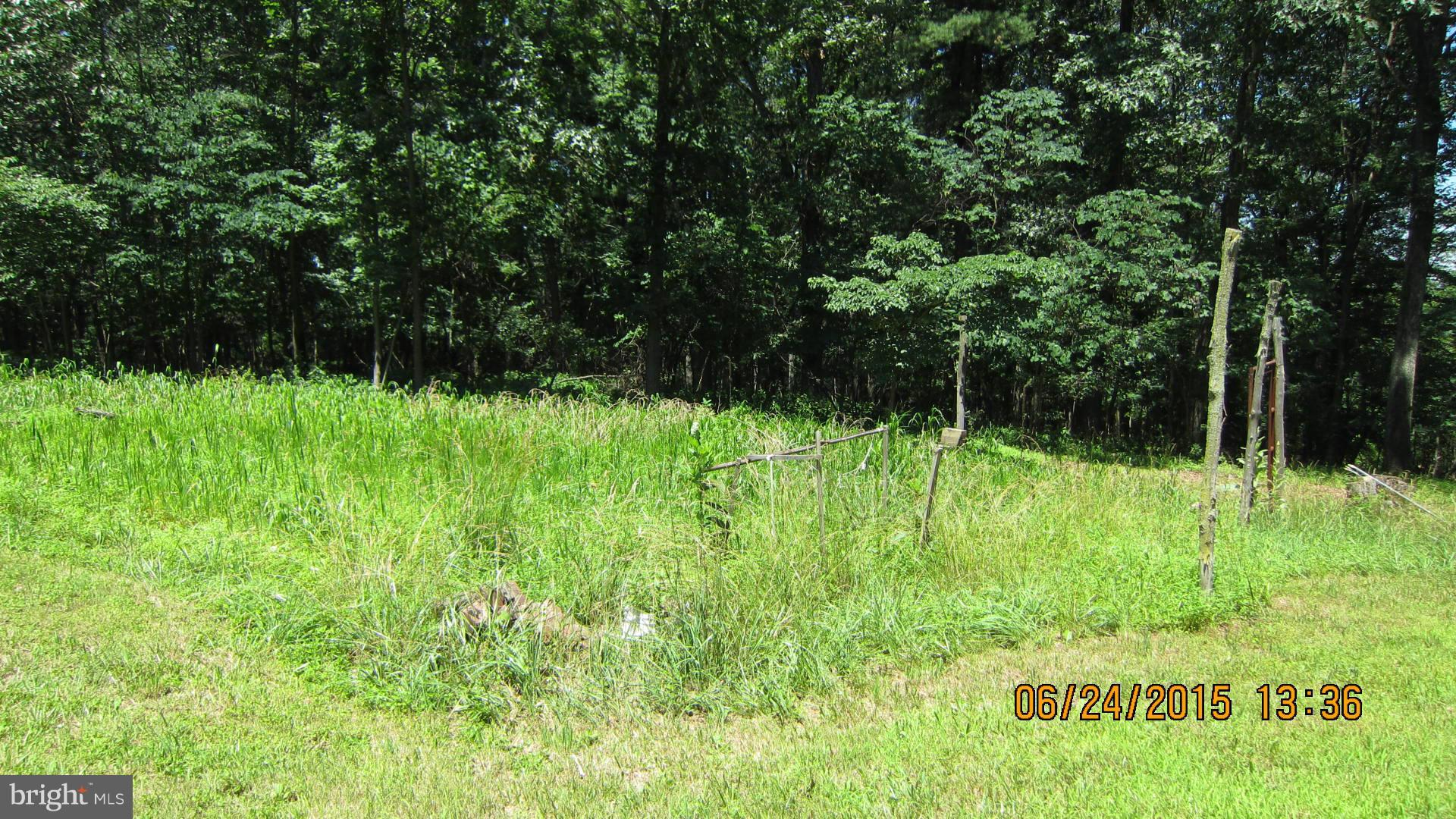 216 Light Road Winchester, VA 22603 - Photo 12 of 30 Exterior (General)