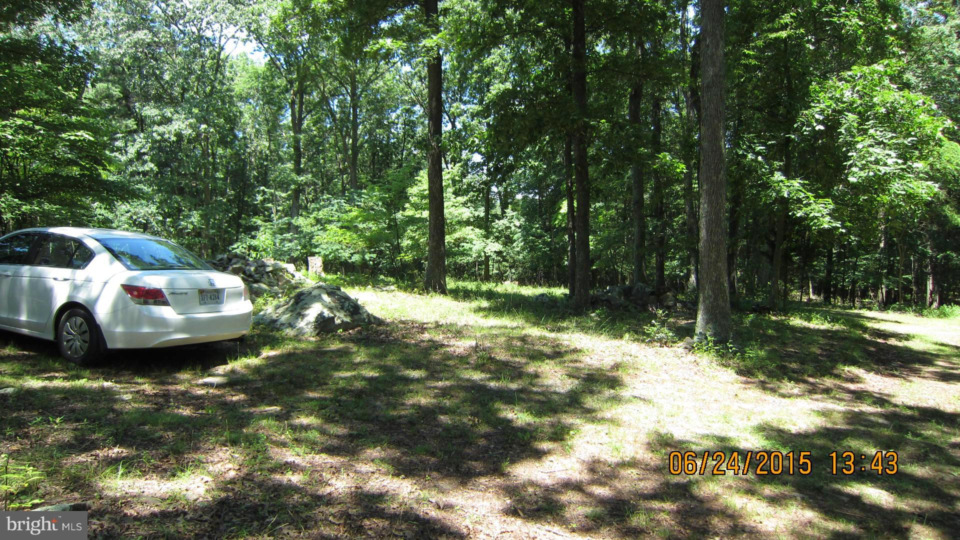 216 Light Road Winchester, VA 22603 - Photo 25 of 30 Exterior (General)