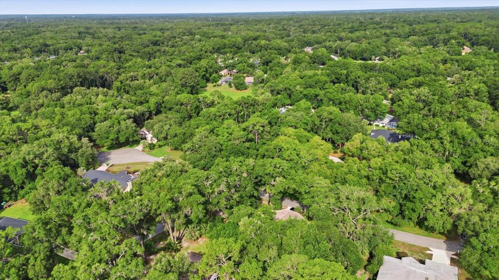 3 Southwest 93rd Loop Dunnellon, FL 34432 - Photo 8 of 17 Gallery Image 8