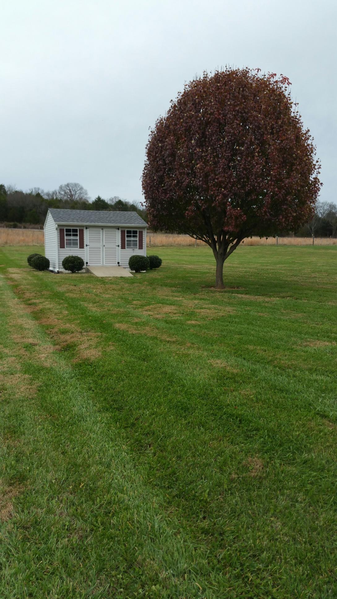 533 Beech Log Road Watertown, TN 37184 - Photo 7 of 10 Storage Building