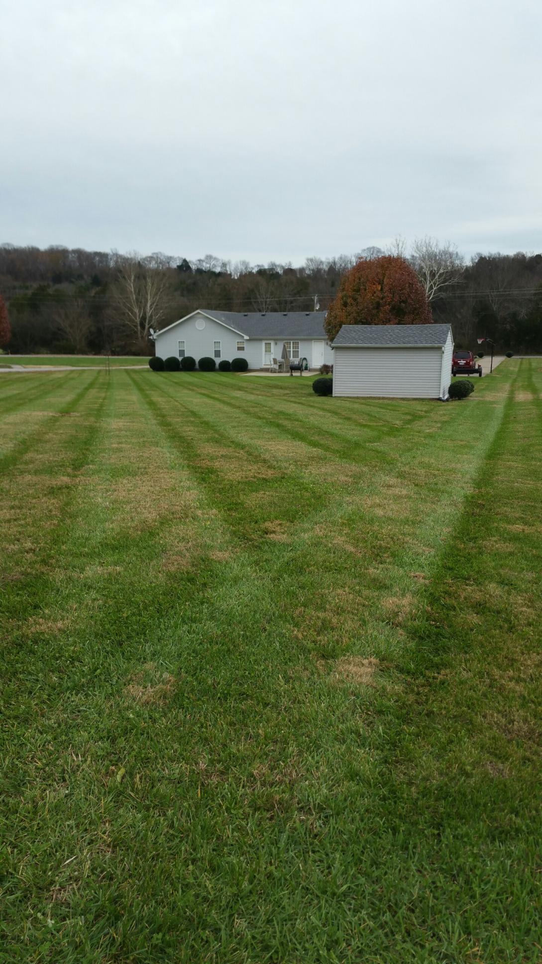 533 Beech Log Road Watertown, TN 37184 - Photo 9 of 10 Back View