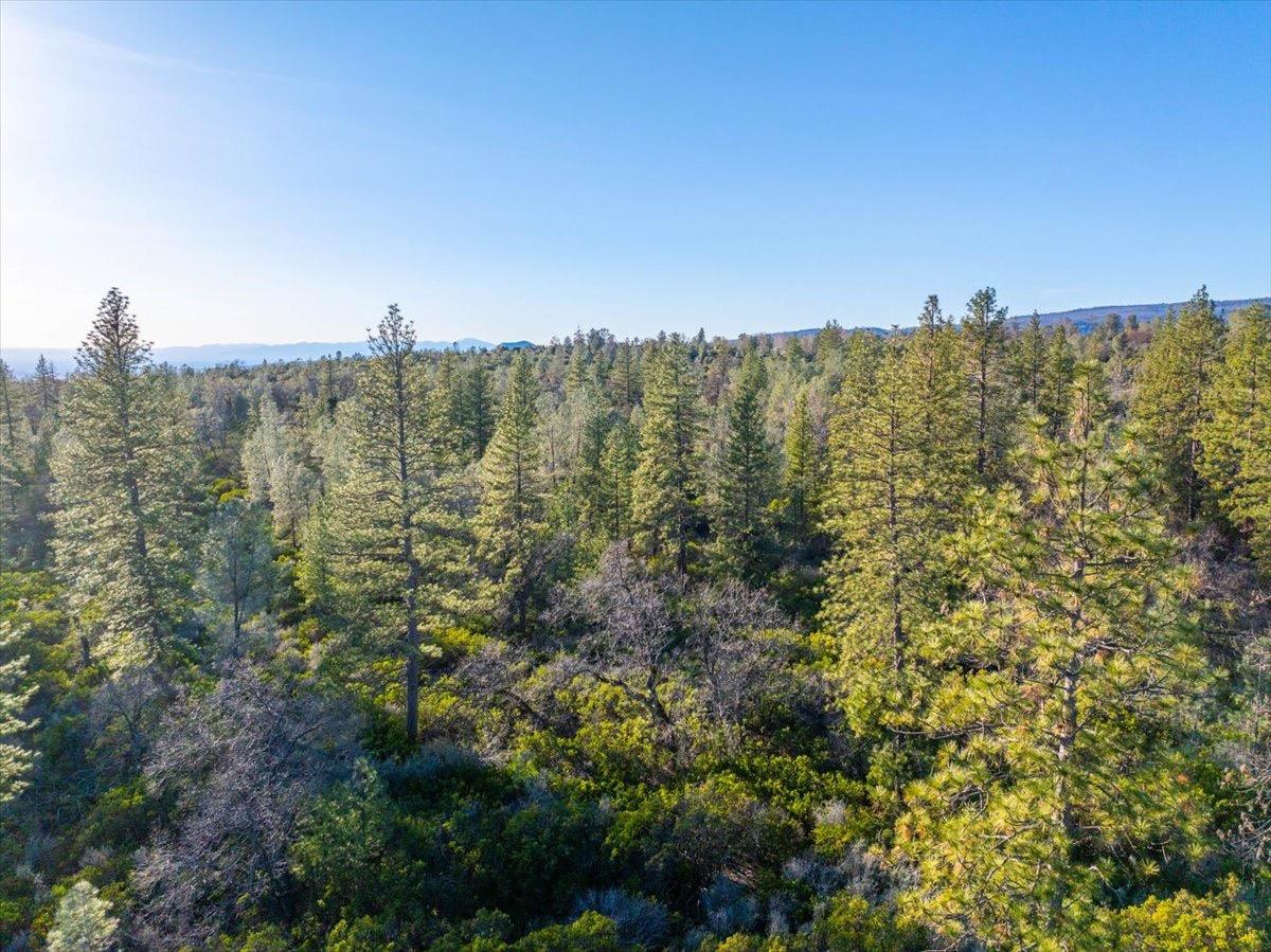 0 Sunnyview Drive Manton, CA 96059 - Photo 15 of 36 a view of a building