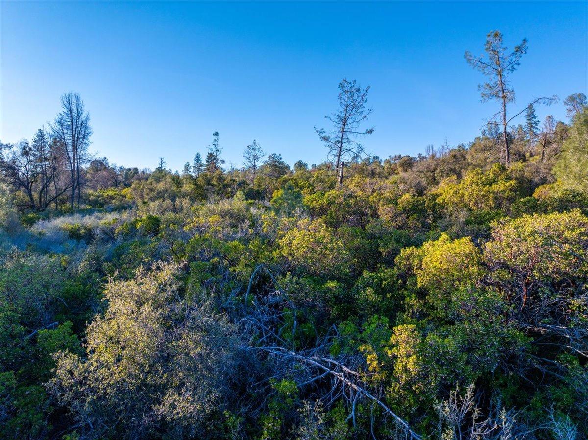 0 Sunnyview Drive Manton, CA 96059 - Photo 20 of 36 a backyard of a house with lots of green space