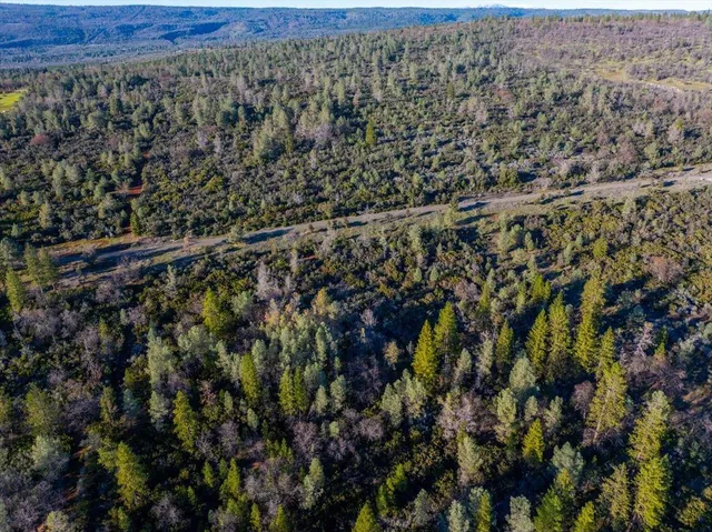 a view of a city with lots of flowers and trees