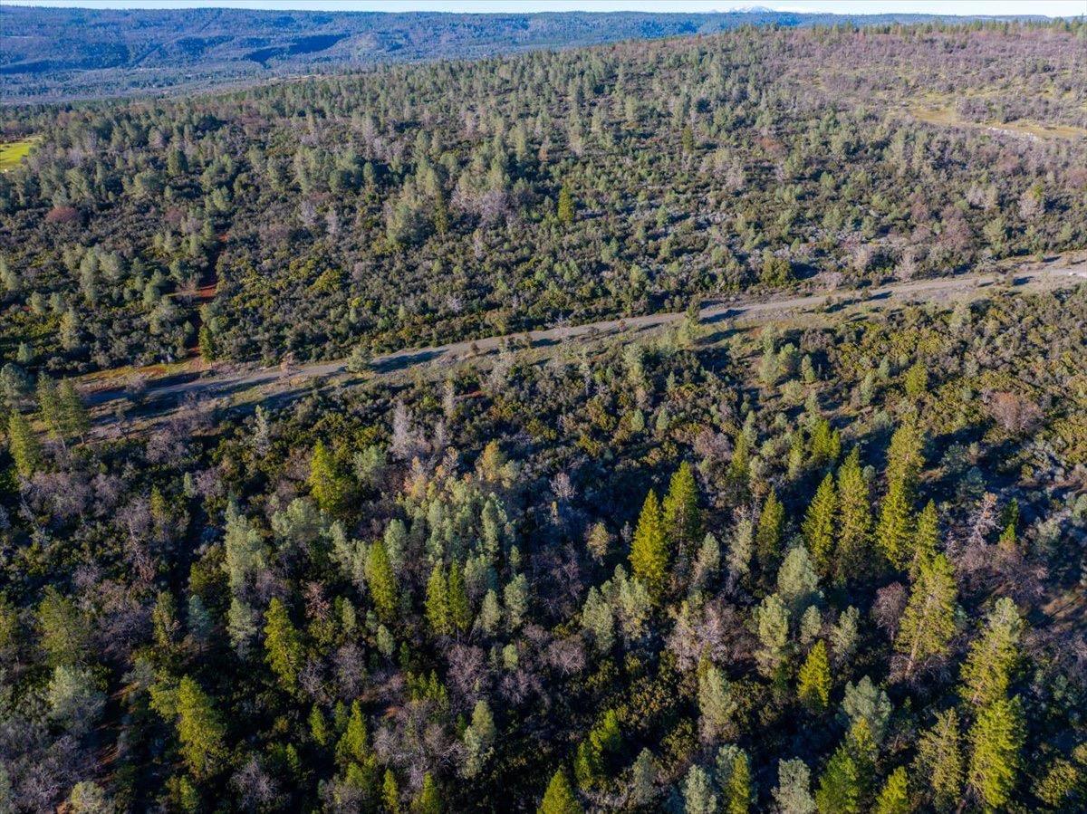 0 Sunnyview Drive Manton, CA 96059 - Photo 25 of 36 a view of a field with wooden fence