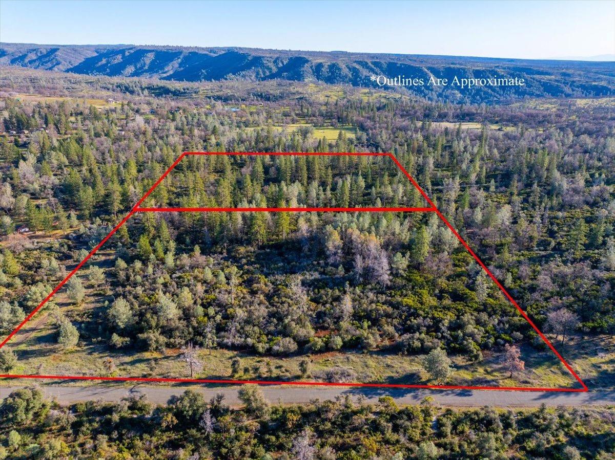 0 Sunnyview Drive Manton, CA 96059 - Photo 26 of 36 a view of a city with lots of flowers and trees