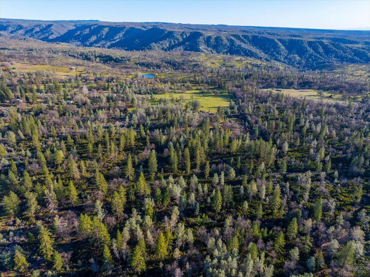 0 Sunnyview Drive Manton, CA 96059 - Photo 30 of 36