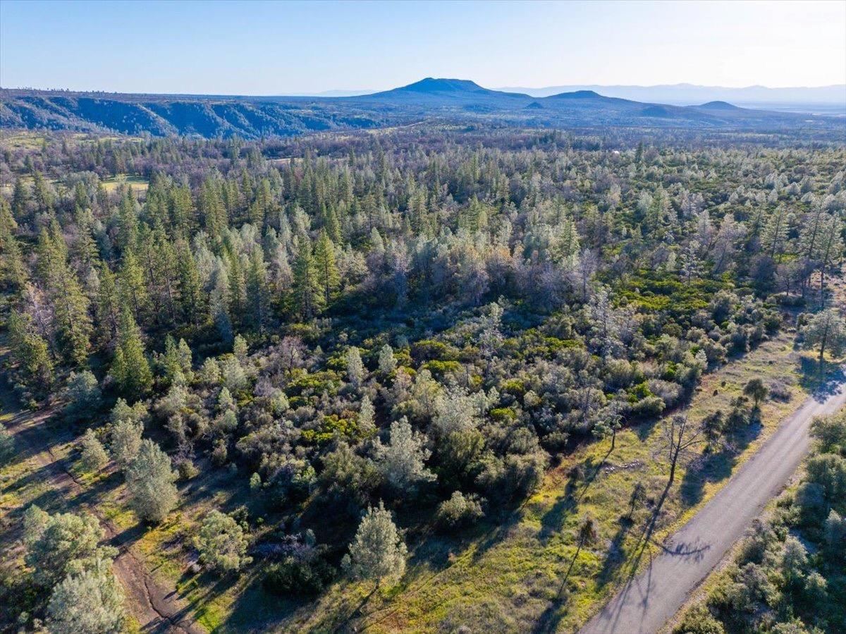 0 Sunnyview Drive Manton, CA 96059 - Photo 3 of 36 a view of a lush green field with lots of bushes
