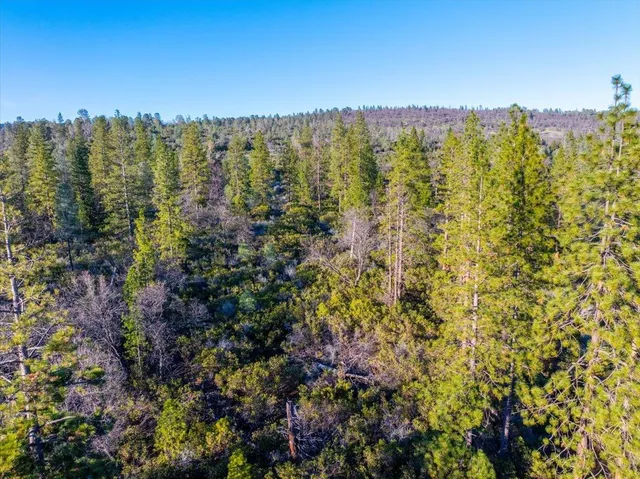 a view of a house with a lush green forest