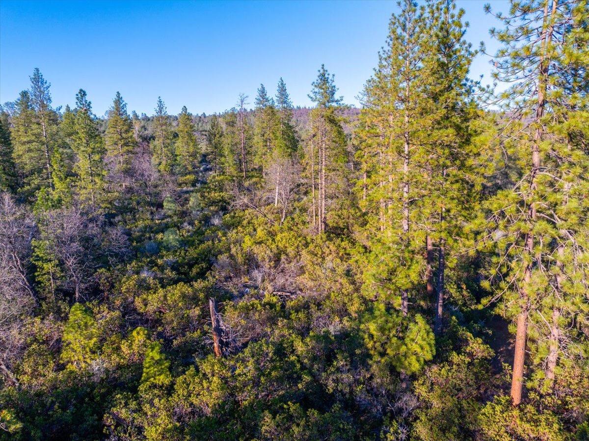 0 Sunnyview Drive Manton, CA 96059 - Photo 34 of 36 a view of a house with a lush green forest