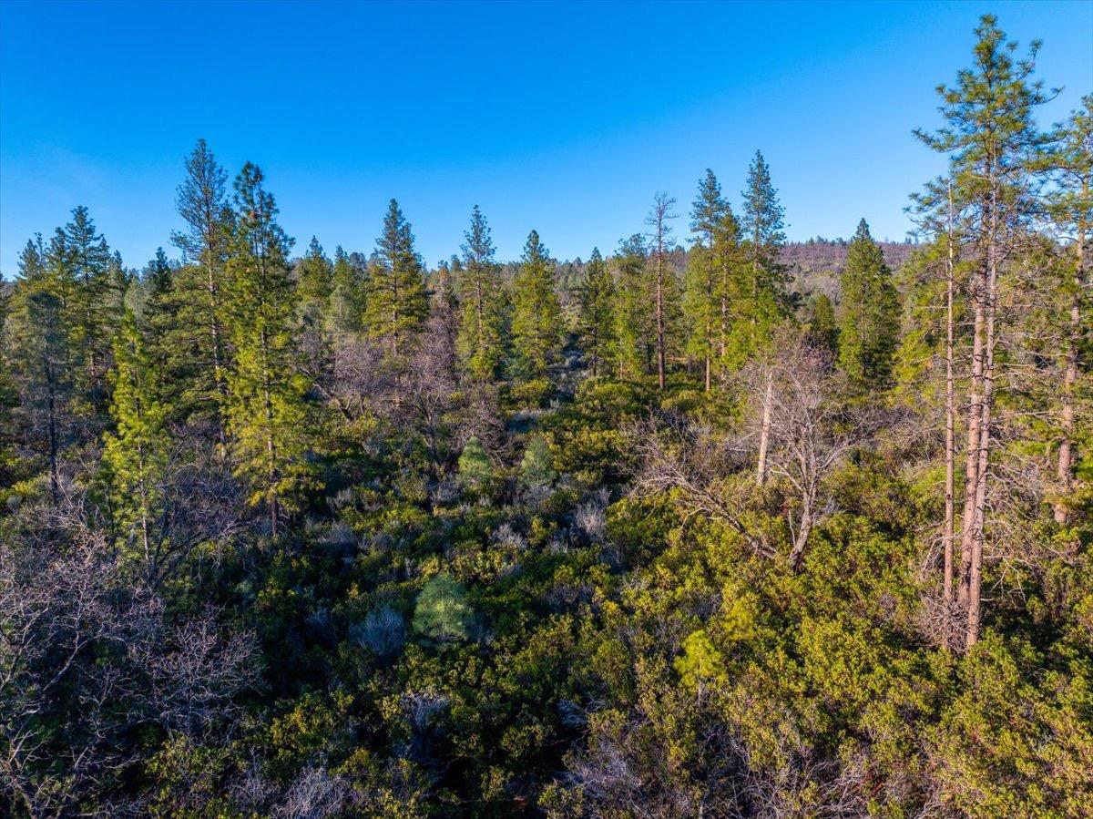 0 Sunnyview Drive Manton, CA 96059 - Photo 35 of 36 a view of a city with lush green forest