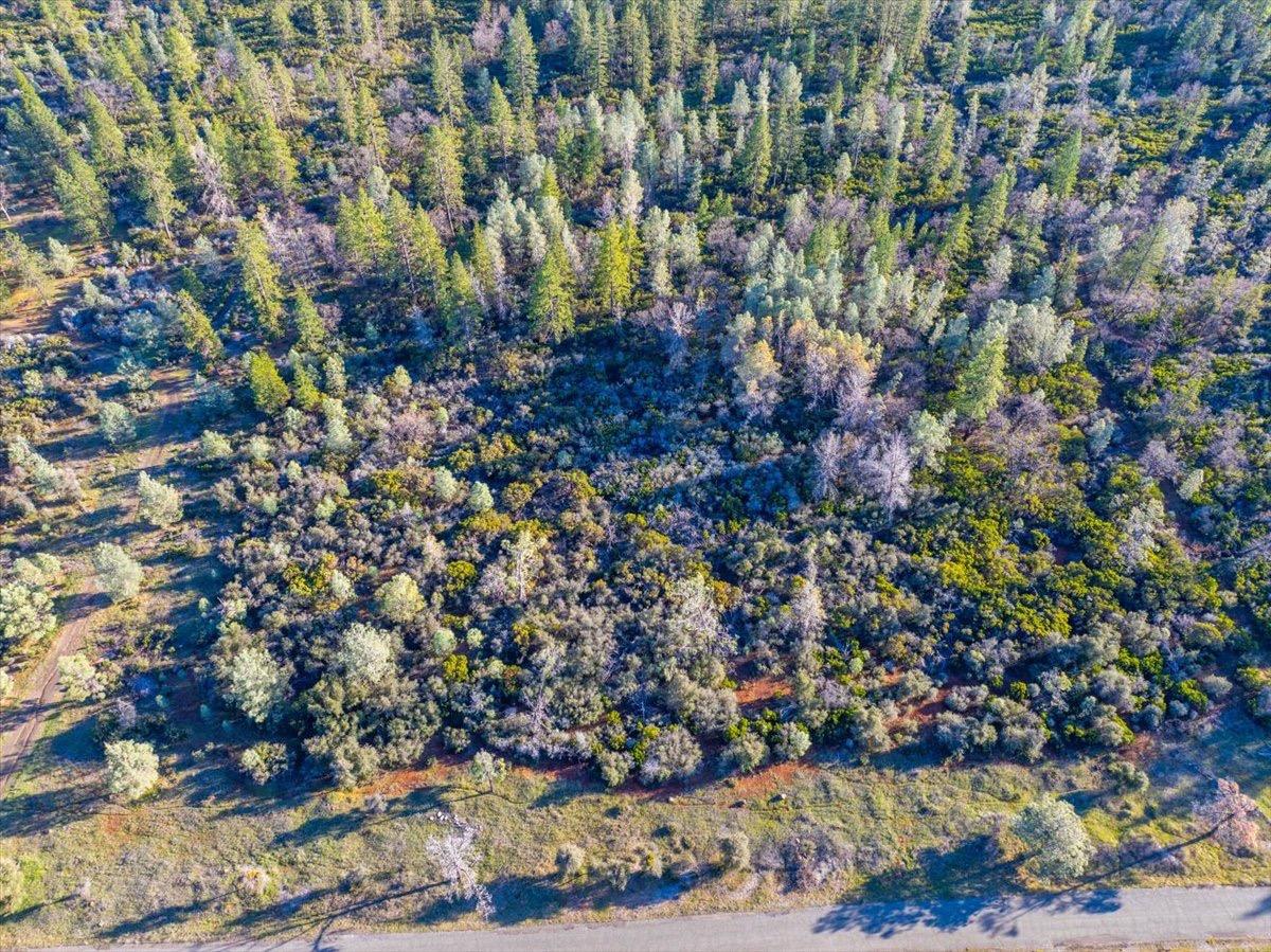 0 Sunnyview Drive Manton, CA 96059 - Photo 4 of 36 a view of a garden