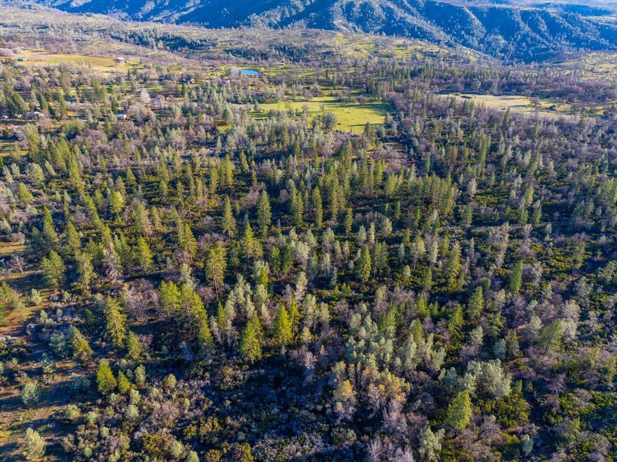 0 Sunnyview Drive Manton, CA 96059 - Photo 6 of 36 a view of a city