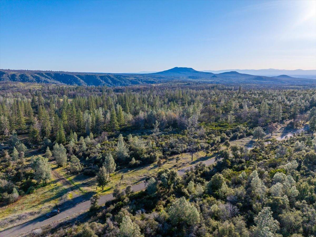 0 Sunnyview Drive Manton, CA 96059 - Photo 7 of 36 a view of a lush green field