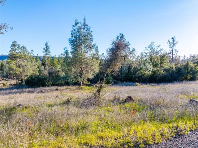 a view of backyard with green space