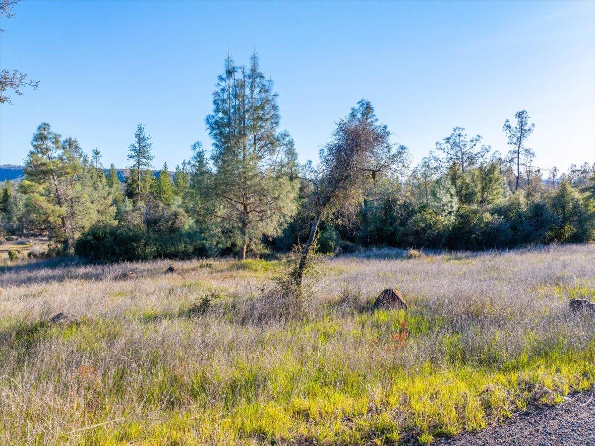 0 Sunnyview Drive Manton, CA 96059 - Photo 8 of 36 a view of backyard with green space
