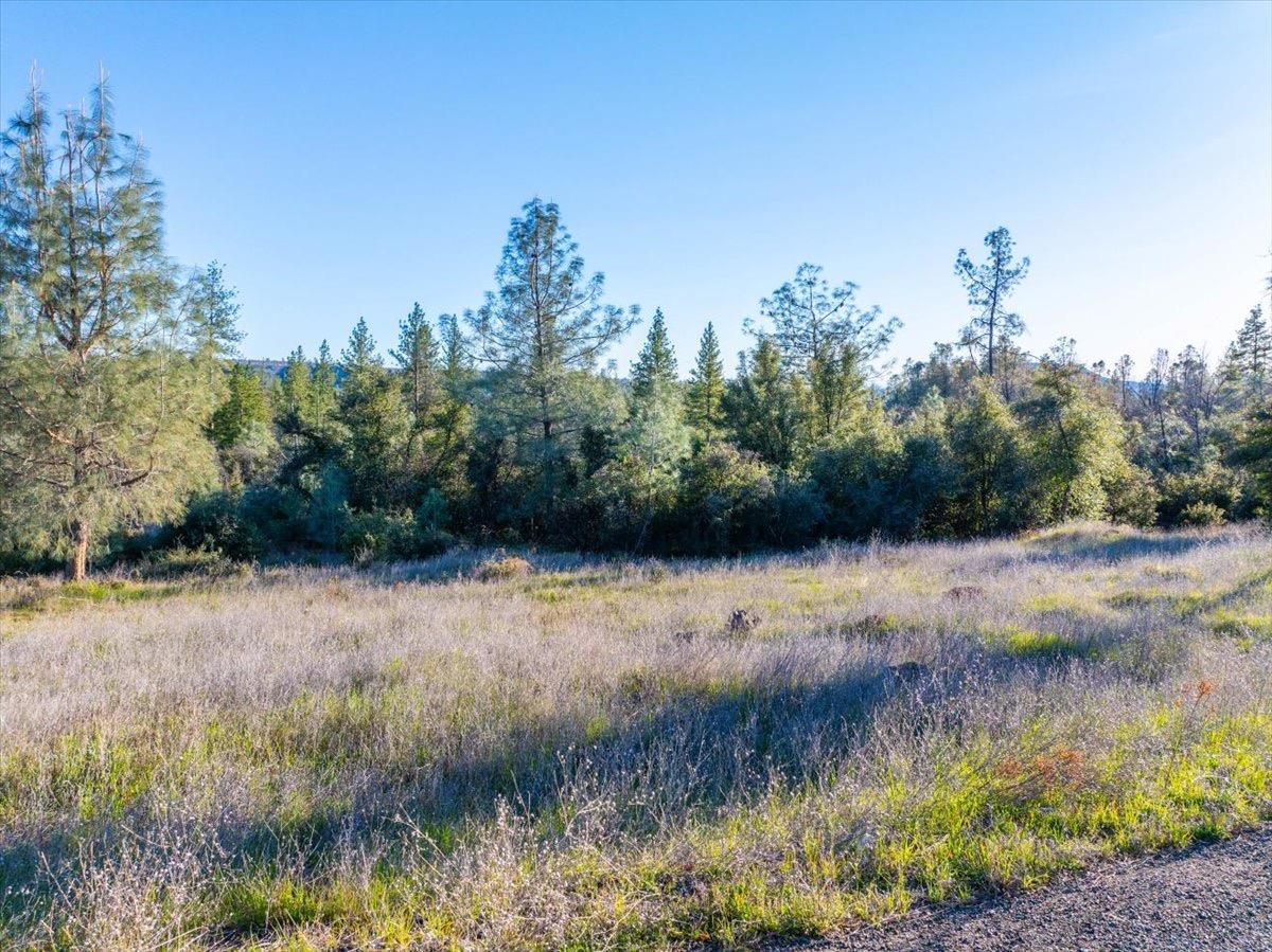 0 Sunnyview Drive Manton, CA 96059 - Photo 9 of 36 a view of a lake view with houses in back