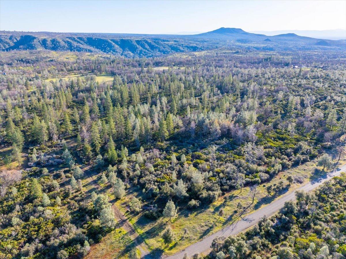 0 Sunnyview Drive Manton, CA 96059 - Photo 10 of 36 a view of a lush green field with a tree in front of it