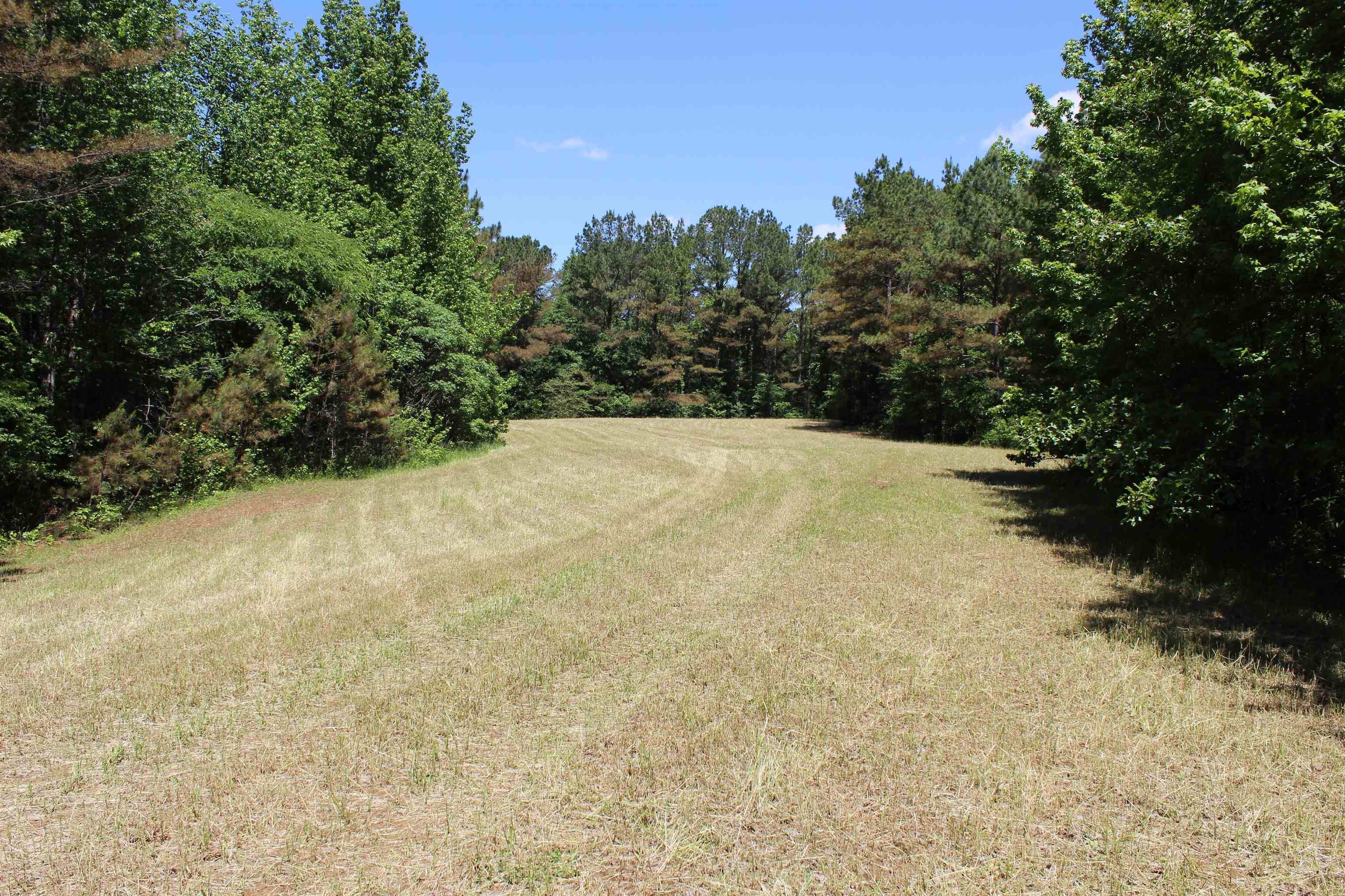 0 Silerton Road Toone, TN 38381 - Photo 16 of 24